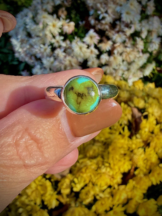 Royston Turquoise on a Simple Silver Band (Size 7.5)
