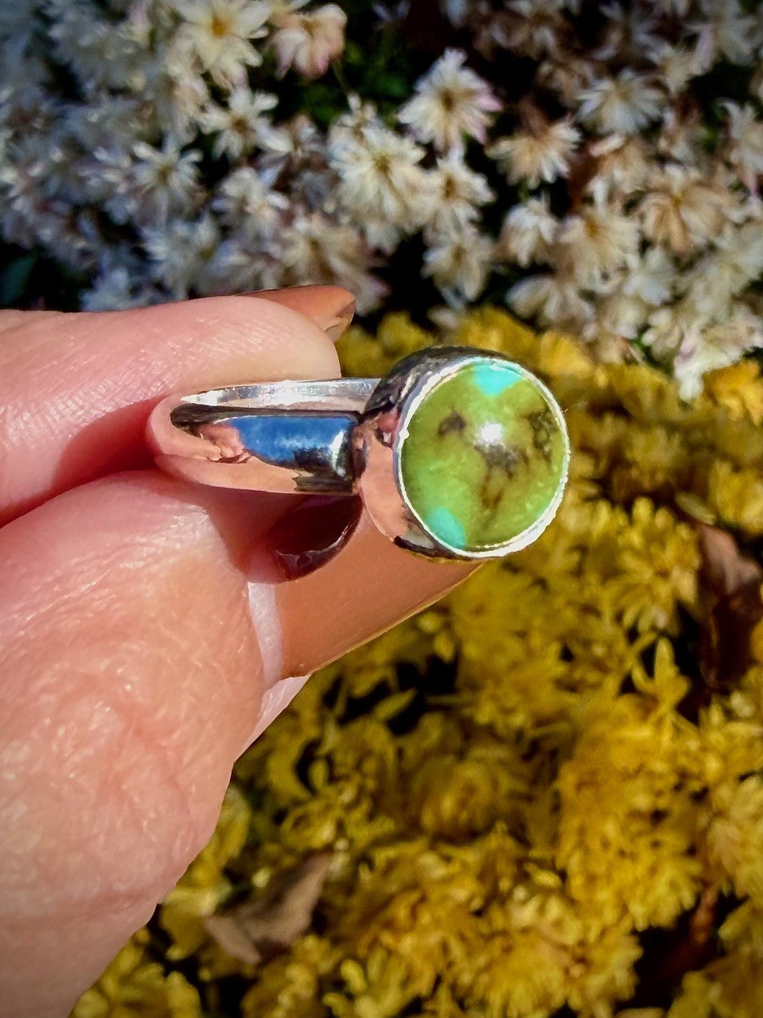 Royston Turquoise on a Simple Silver Band (Size 7.5)